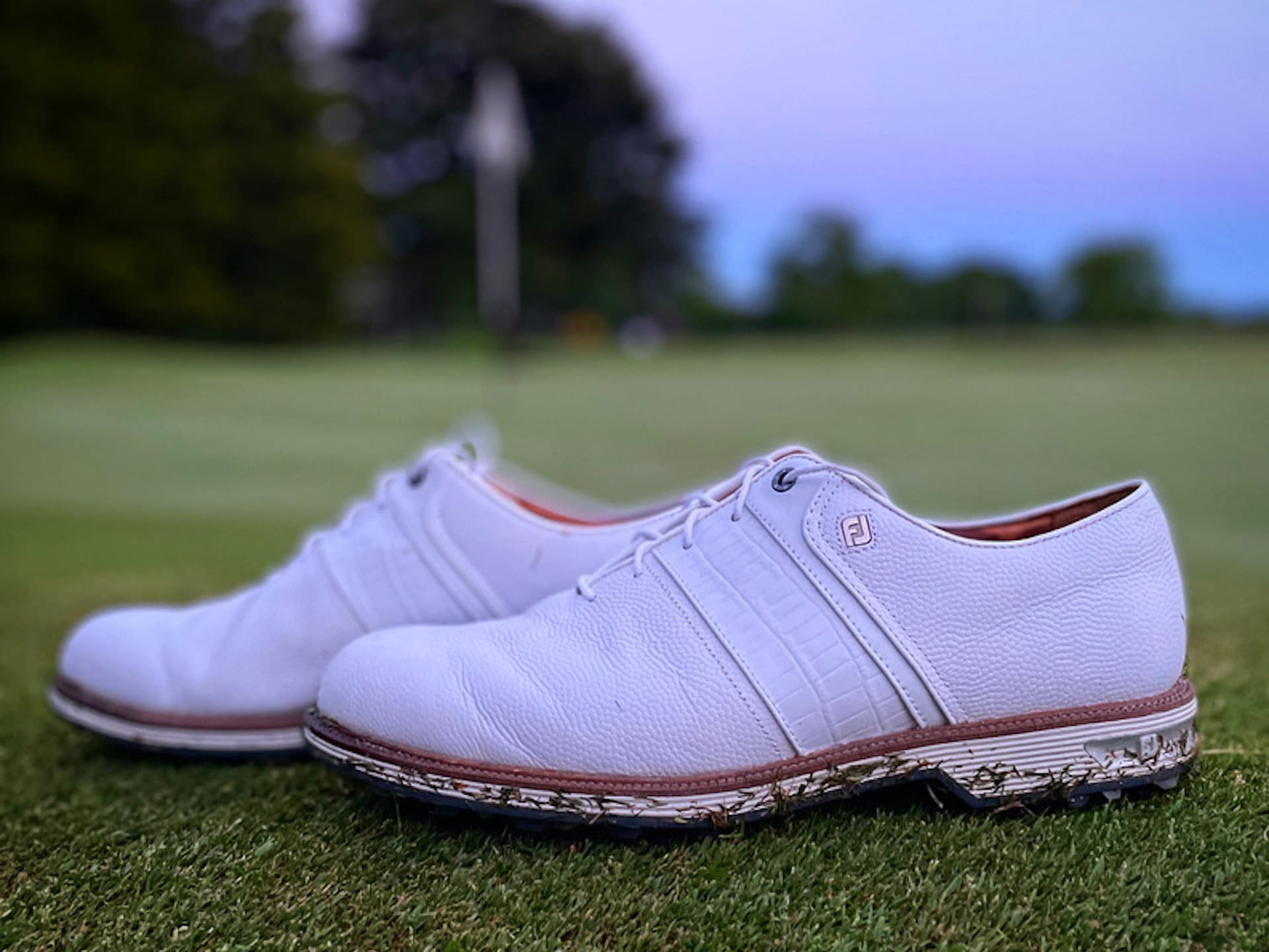 FootJoy Premiere Series Packard Golf Shoes 1