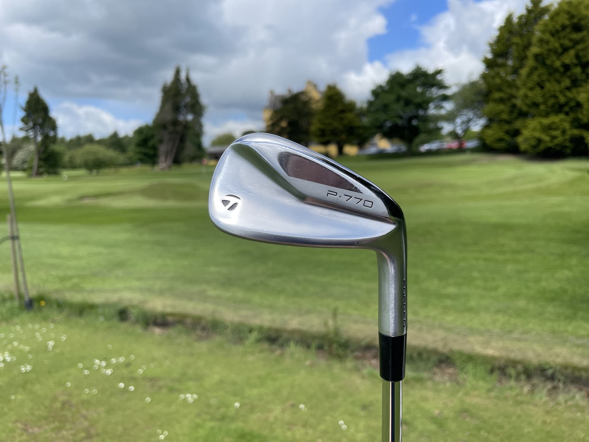 TaylorMade P770 Irons 1