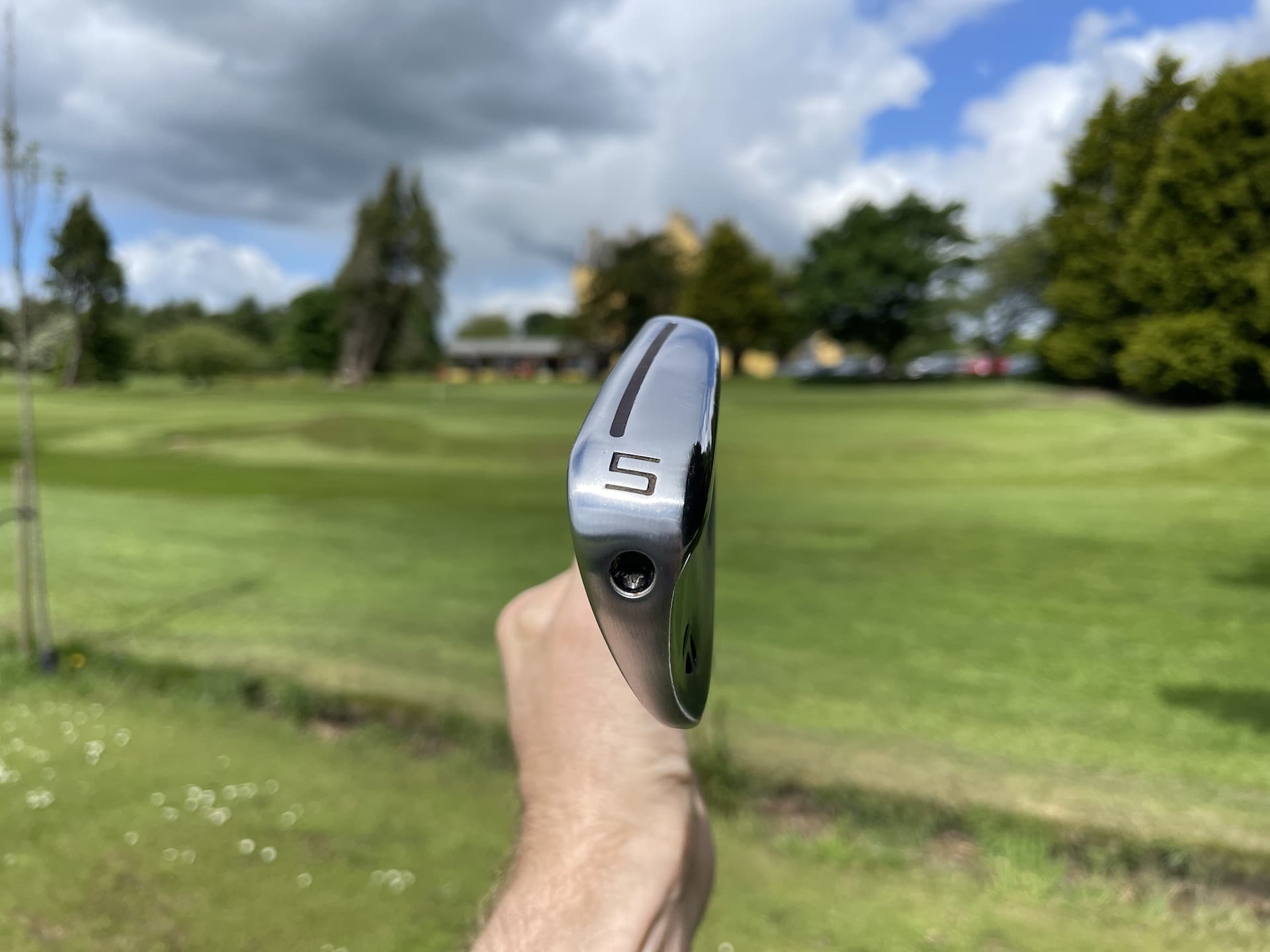 TaylorMade P770 Irons 11