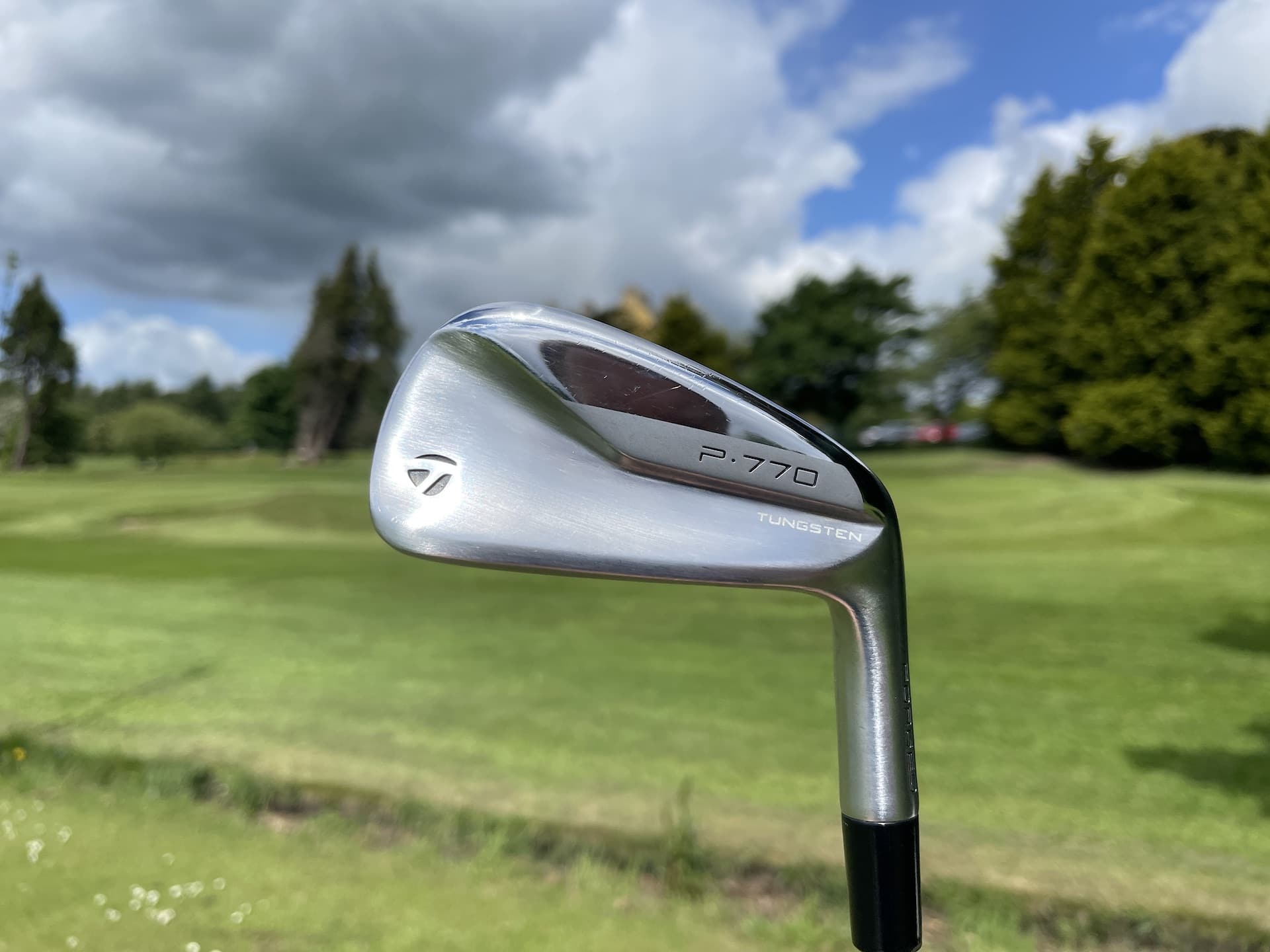TaylorMade P770 Irons 8